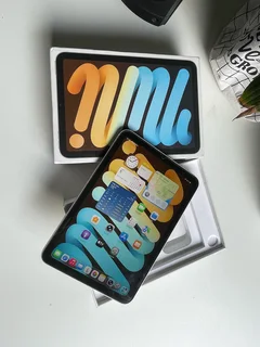 iPad mini 6th Gen WiFi &#43; Cellular 64GB