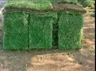 Roll on lawn grass supplies
