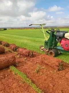 Roll on lawn grass supplies