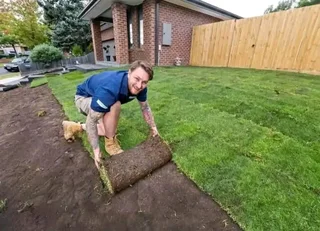 Roll on lawn grass supplies