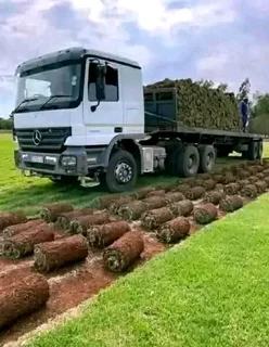 Fresh roll on lawn grass supplies