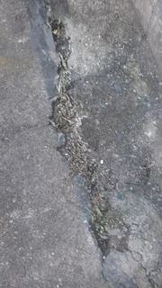 Weed Killer Herbicide- 2ltr/5ltr