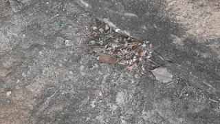 Weed Killer Herbicide- 2ltr/5ltr