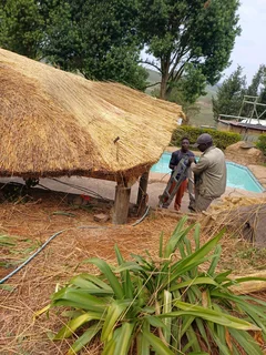 Thatching and Thatch Houses and Lapa Installations