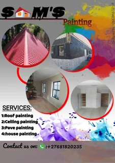 Sam painters