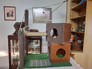 Cat Tower with scratch posts