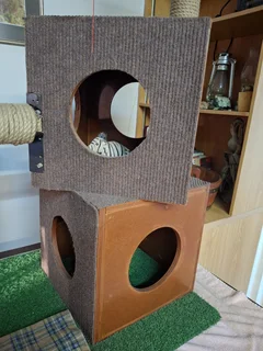 Cat Tower with scratch posts