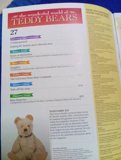 15 magazine on teddies R50 each