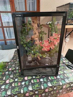 Reptile enclosure for lizard, chameleon or gecko