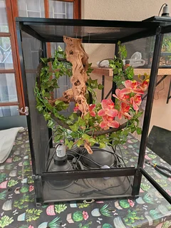 Reptile enclosure for lizard, chameleon or gecko