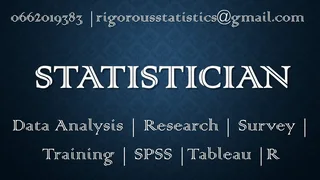 High Quality and Affordable Statistical Data Analysis Services