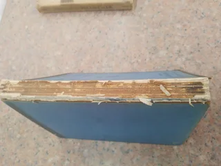 1924 Original Book of Queens Dolls House