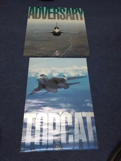 Poster F14 Tomcat GE Original
