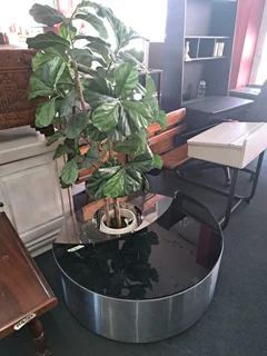 Artificial Fiddle Fig tree