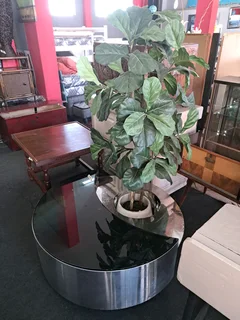 Artificial Fiddle Fig tree