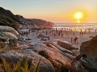 "Headphones On, Party On: Unforgettable Silent Disco Fun!"