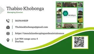 Organic Lawn ,Turf / Grass Roll / Lawn Care and Grass cutting