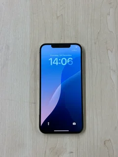 iPhone 12 Pro Max 256GB