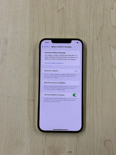 iPhone 12 Pro Max 256GB