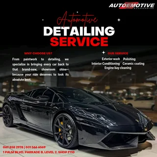 Auto Detailing Service