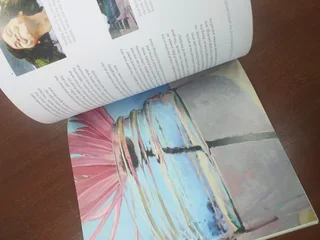 Daily Painting by C Marine Book Paint small and often to become more creative ,Productive