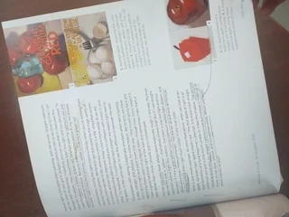 Daily Painting by C Marine Book Paint small and often to become more creative ,Productive