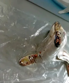 Vintage Silver Plated Dolphin Bottle Opener R129