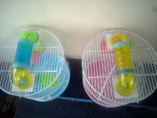 2 small hamster cages 35cm high x 30cm wide each R375 each (The pink one is missing 1 clip)