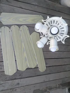 Ceiling fan 5 finWorking conditionCome with globes Might need some screws R695