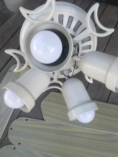 Ceiling fan 5 finWorking conditionCome with globes Might need some screws R695