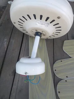 Ceiling fan 5 finWorking conditionCome with globes Might need some screws R695