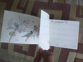 The Edwardian Lady Birthday book U can write birthdays inside