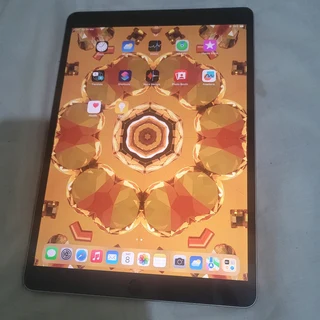 IPAD PRO 128GB INTERNAL STORAGE, CELLULAR AND WIFI