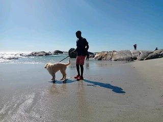 Highly skilled and amp: recommended gardener, general work, driver is looking for a job