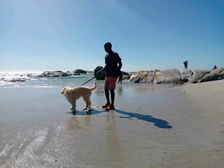 Highly skilled and amp; recommended gardener, general work, driver is looking for a job