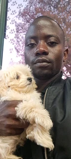 Highly skilled and amp; recommended gardener, general work, driver is looking for a job