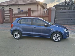 Volkswagen Pollo vivo for sale