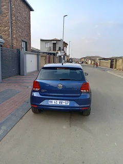 Volkswagen Pollo vivo for sale