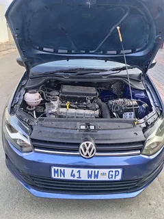 Volkswagen Pollo vivo for sale