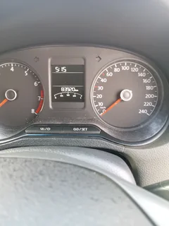 Volkswagen Pollo vivo for sale