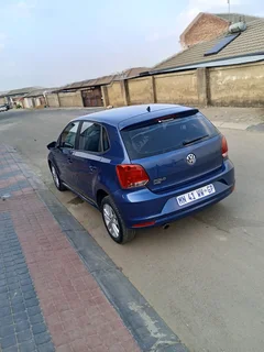 Volkswagen Pollo vivo for sale