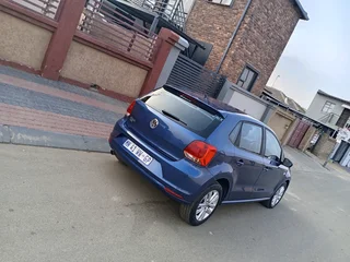 Volkswagen Pollo vivo for sale