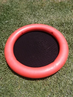 Frisbee toy R50
