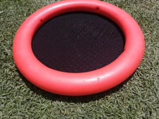 Frisbee toy R50