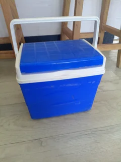 Small Cooler Box R100