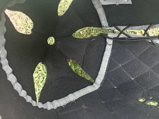 Maxed rugby scrum cap R100