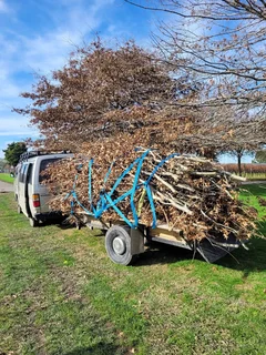 Tree Cutting And Garden Service /removal