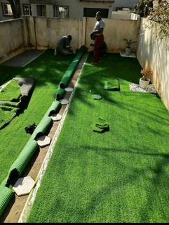 Buffalo grass// kikuyu grass// and decorative stones pebbles