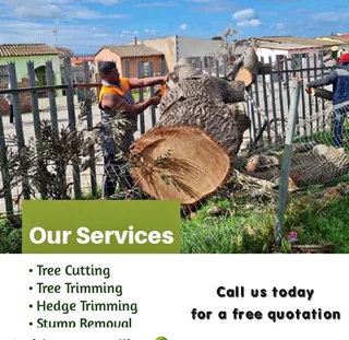 Tree Felling Services . Call Us Now!!✅ Tree Cutting✅ Stump Removal ✅ Trimming