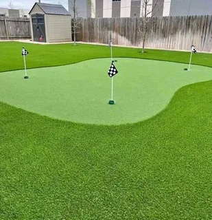 Instant roll on lawn grass// buffalo grass